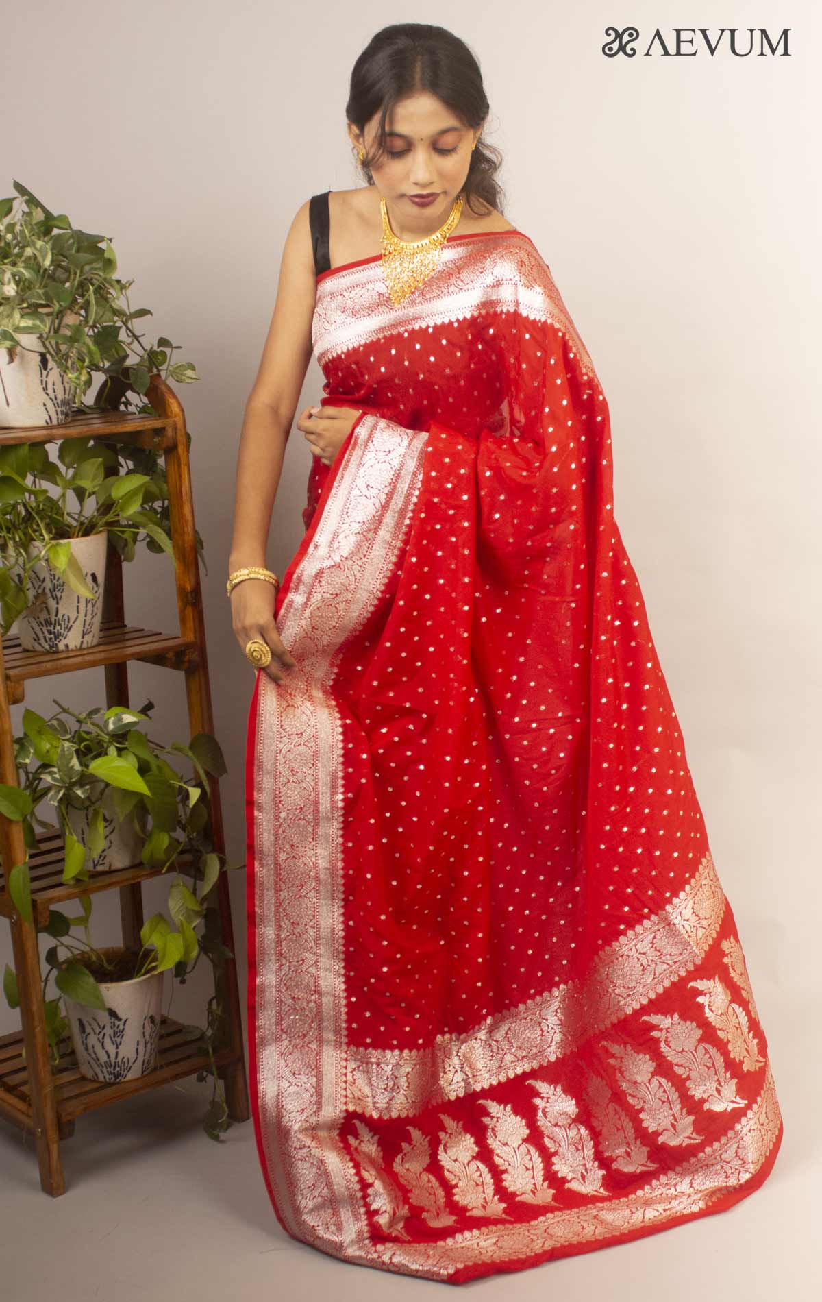 Banarasi Dupion Silk Sarees