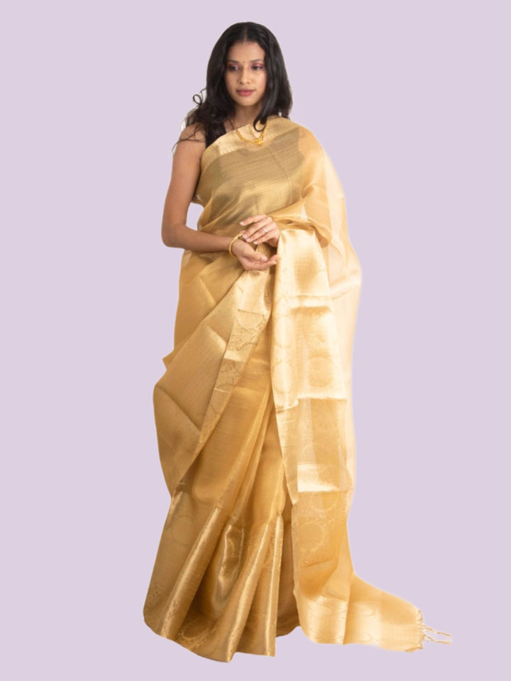 Golden Tissue Banarasi Saree - 0463 Saree AEVUM   