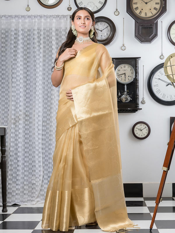 Golden Tissue Banarasi Saree - 0463