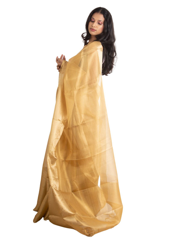 Golden Tissue Banarasi Saree - 0463 Saree AEVUM   