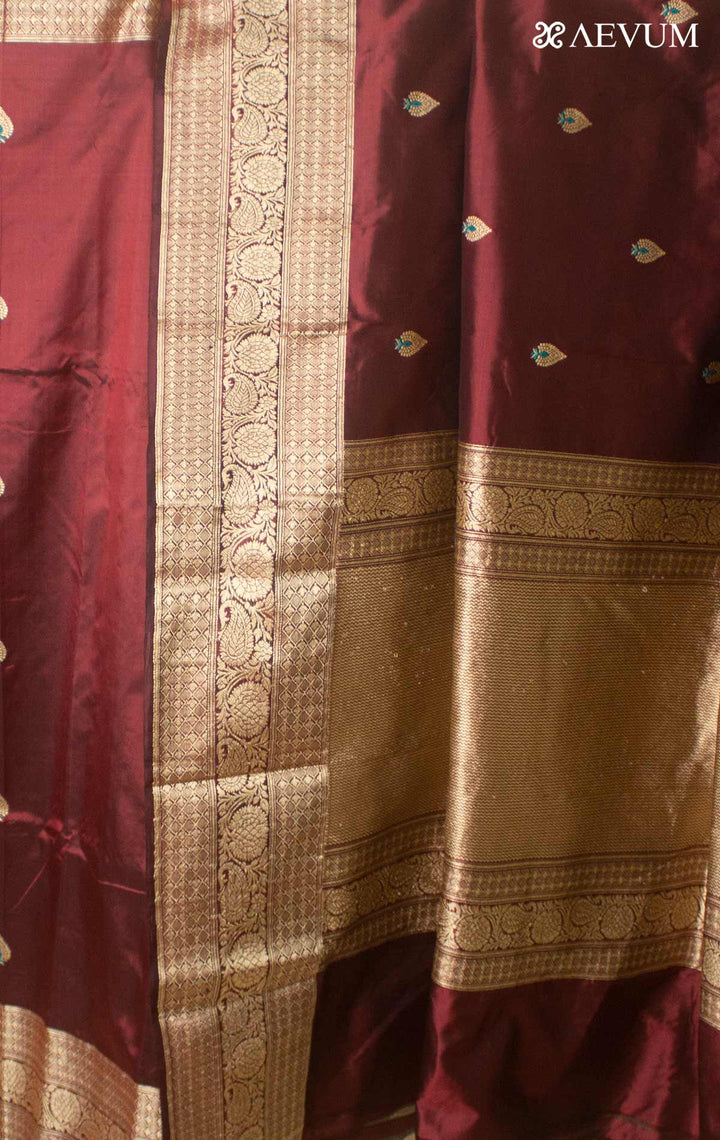 Banarasi Silk Saree with Silk Mark By Aevum - 14777 Saree AEVUM 2   