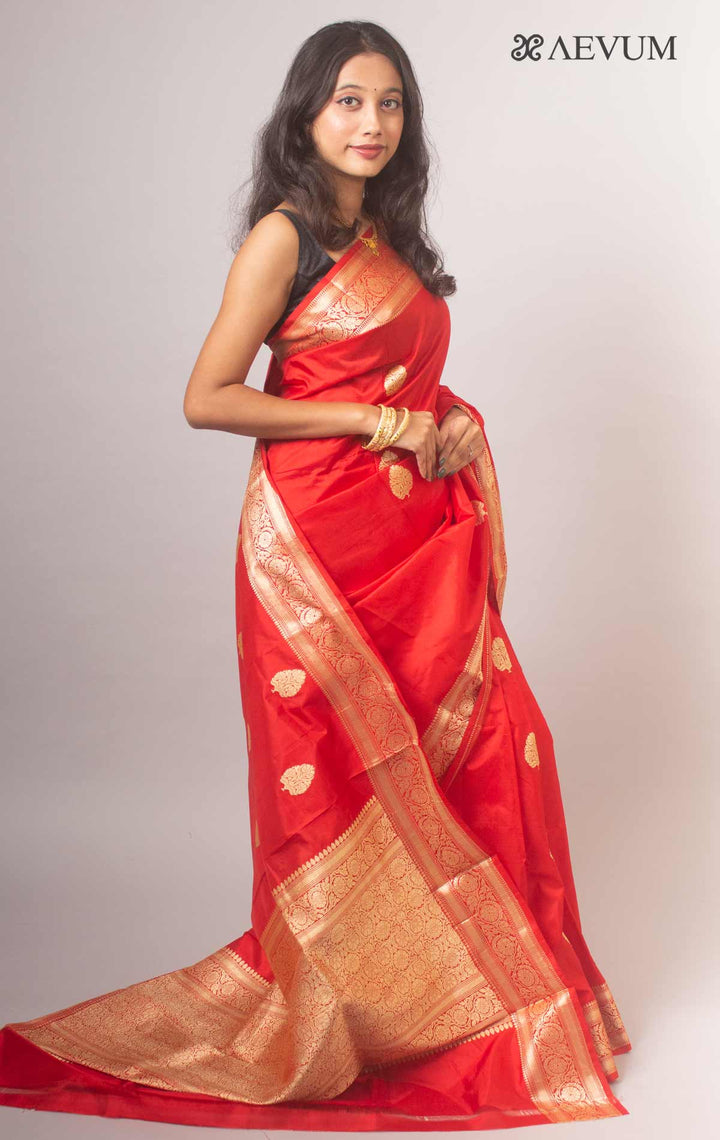 Banarasi Silk Saree with Silk Mark By Aevum - 14780 Saree AEVUM   