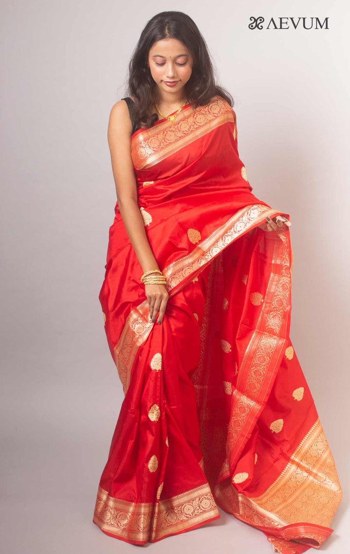 Banarasi Silk Saree with Silk Mark By Aevum - 14780 Saree AEVUM   