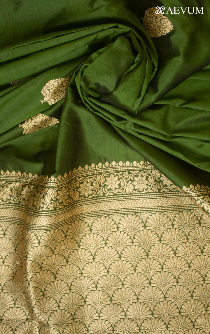 Banarasi Silk Saree with Silk Mark By Aevum - 14781 - AEVUM