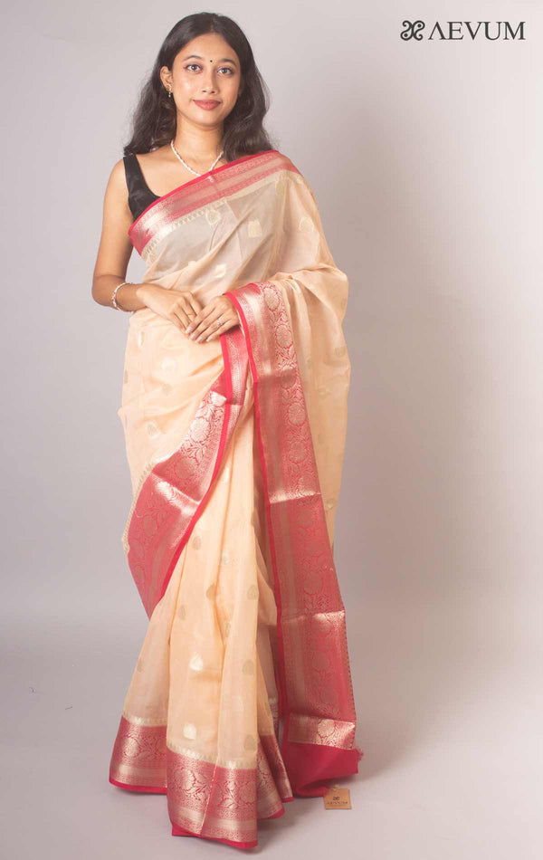 Semi Georgette Soft Banarasi Silk Saree - 16338 - AEVUM