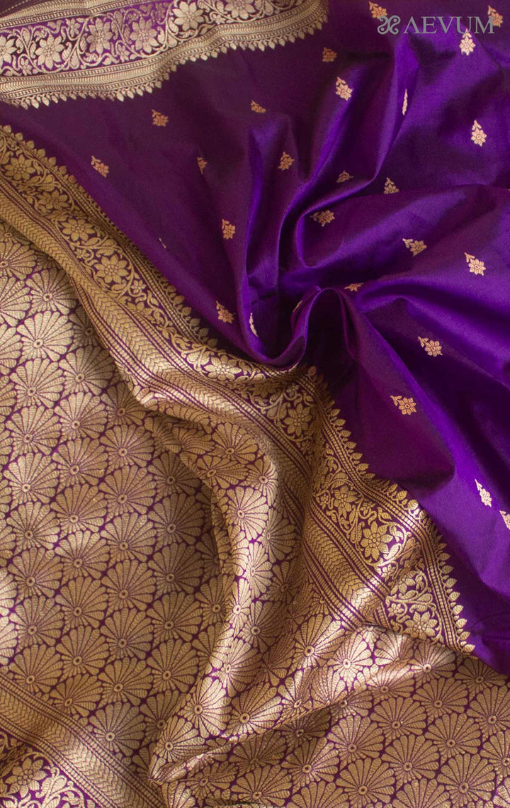 Banarasi Silk Saree with Silk Mark - 17742 Saree AEVUM   