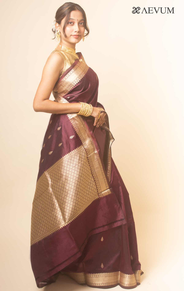 Kanjivaram Banarasi work Pure Silk Saree with Silk Mark - 17744 - AEVUM