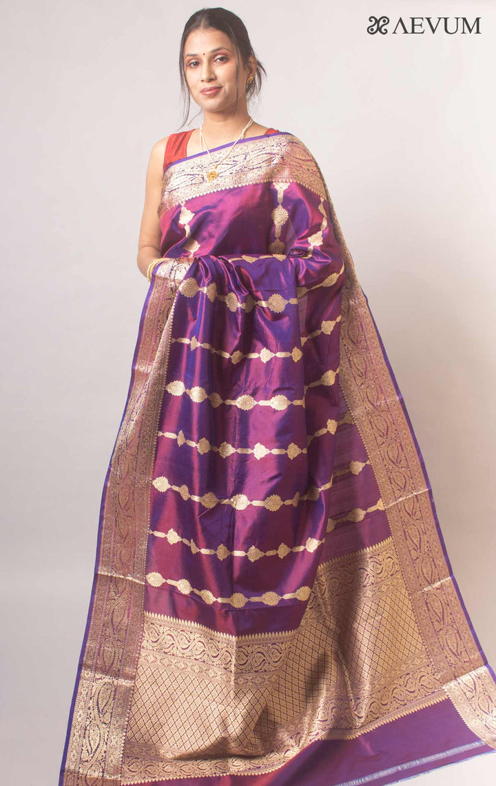 Banarasi Silk Saree with Silk Mark By Aevum - 17746 Saree AEVUM   