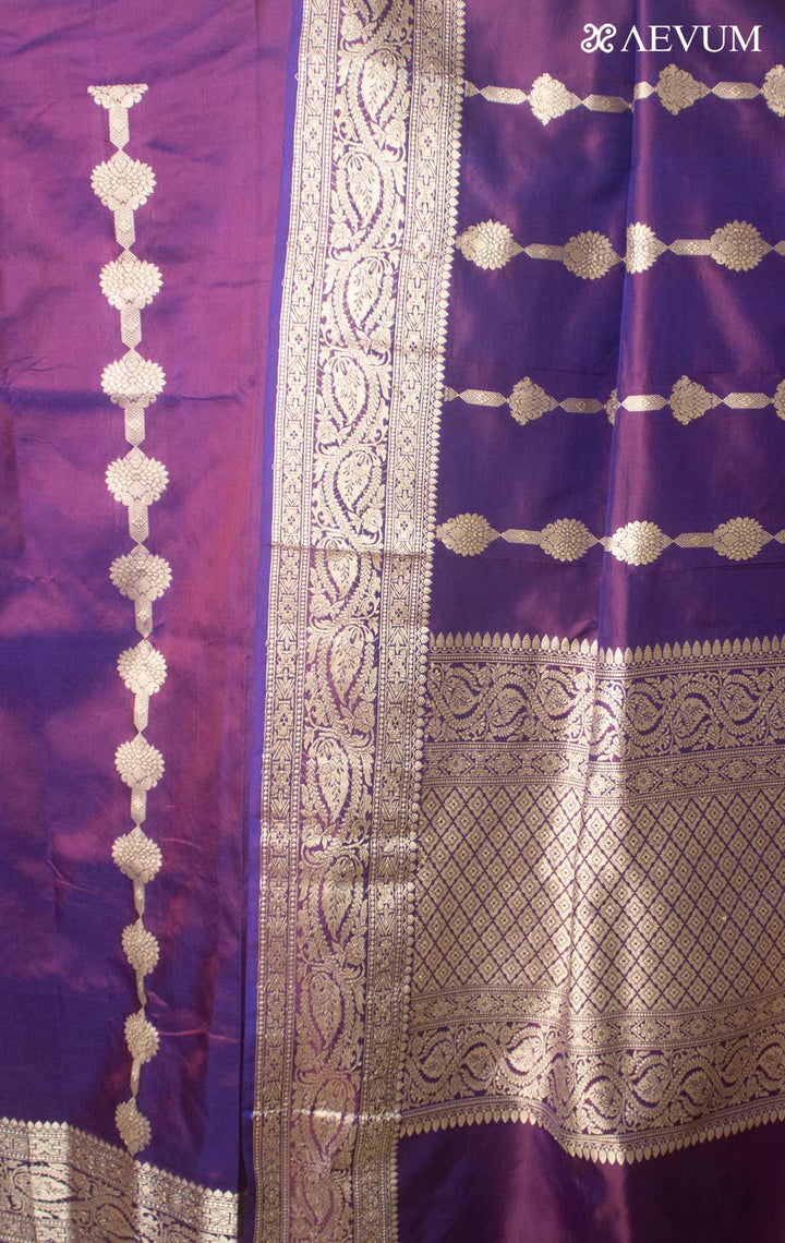 Banarasi Silk Saree with Silk Mark By Aevum - 17746 Saree AEVUM 2   