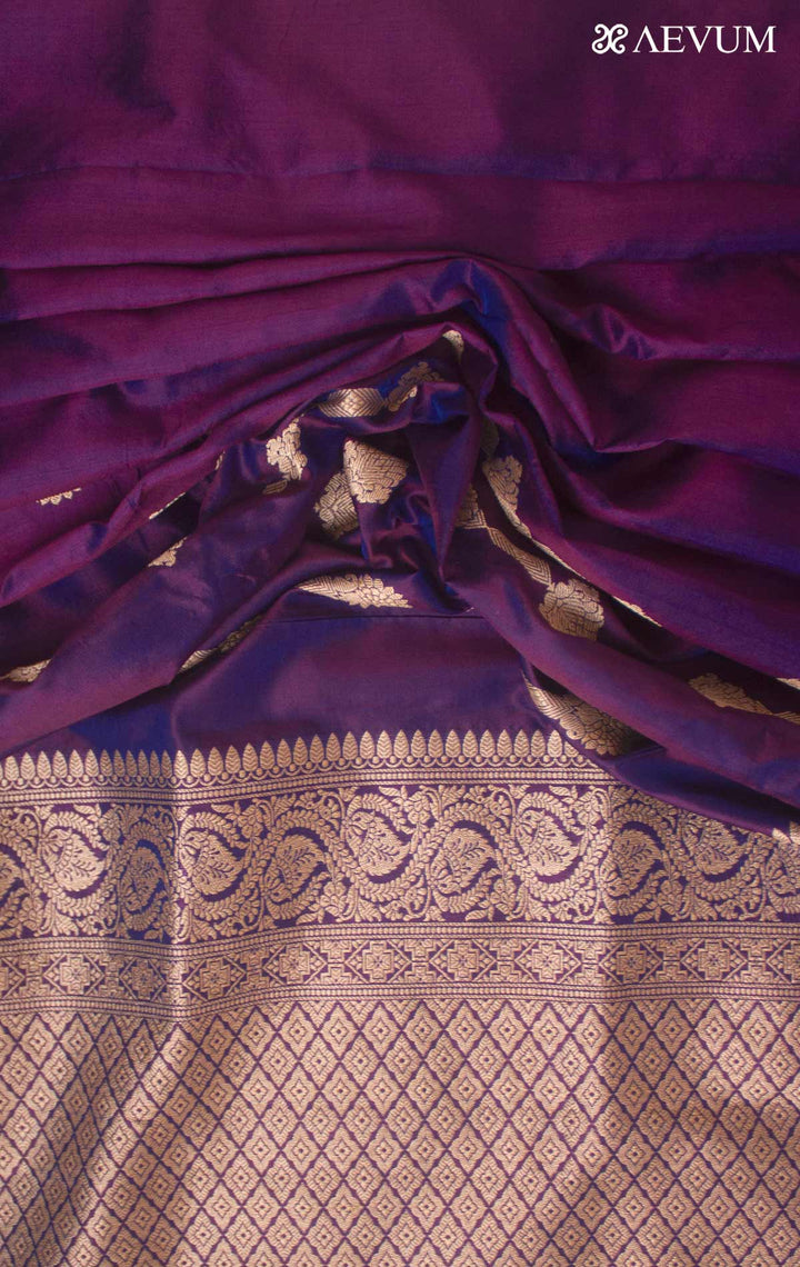Banarasi Silk Saree with Silk Mark By Aevum - 17746 Saree AEVUM 2   