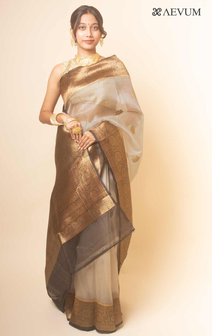 Pure Organza Banarasi Silk Handloom Saree with Silk Mark -17748 - AEVUM