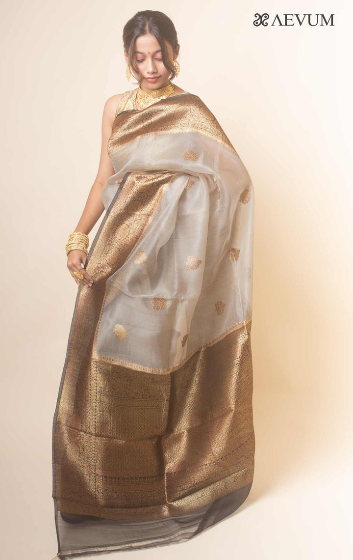 Pure Organza Banarasi Silk Handloom Saree with Silk Mark -17748 Saree Mohammad Saleem   