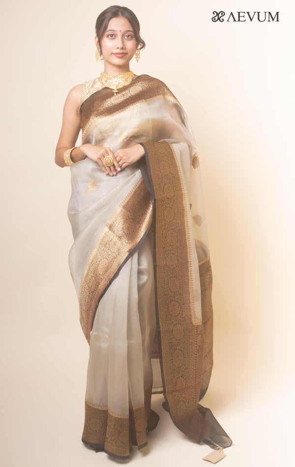Pure Organza Banarasi Silk Handloom Saree with Silk Mark -17748 - AEVUM