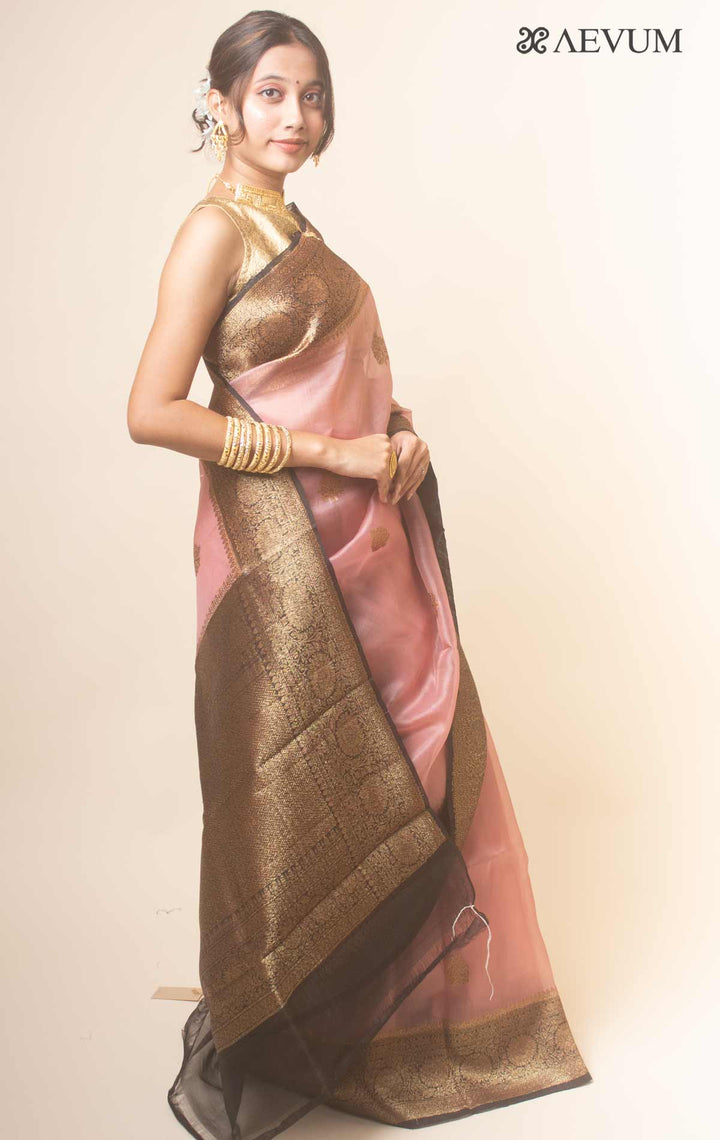 Pure Organza Banarasi Silk Handloom Saree with Silk Mark -17749 Saree AEVUM   