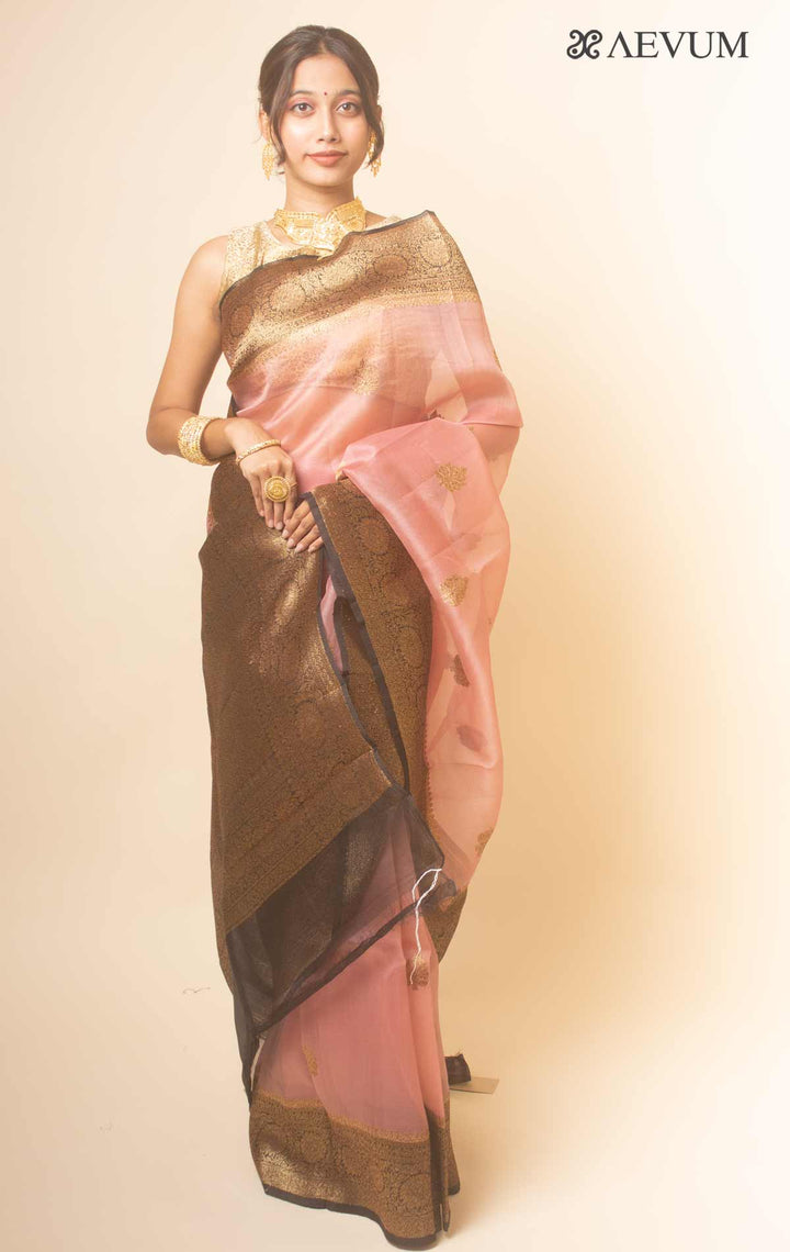 Pure Organza Banarasi Silk Handloom Saree with Silk Mark -17749 - AEVUM