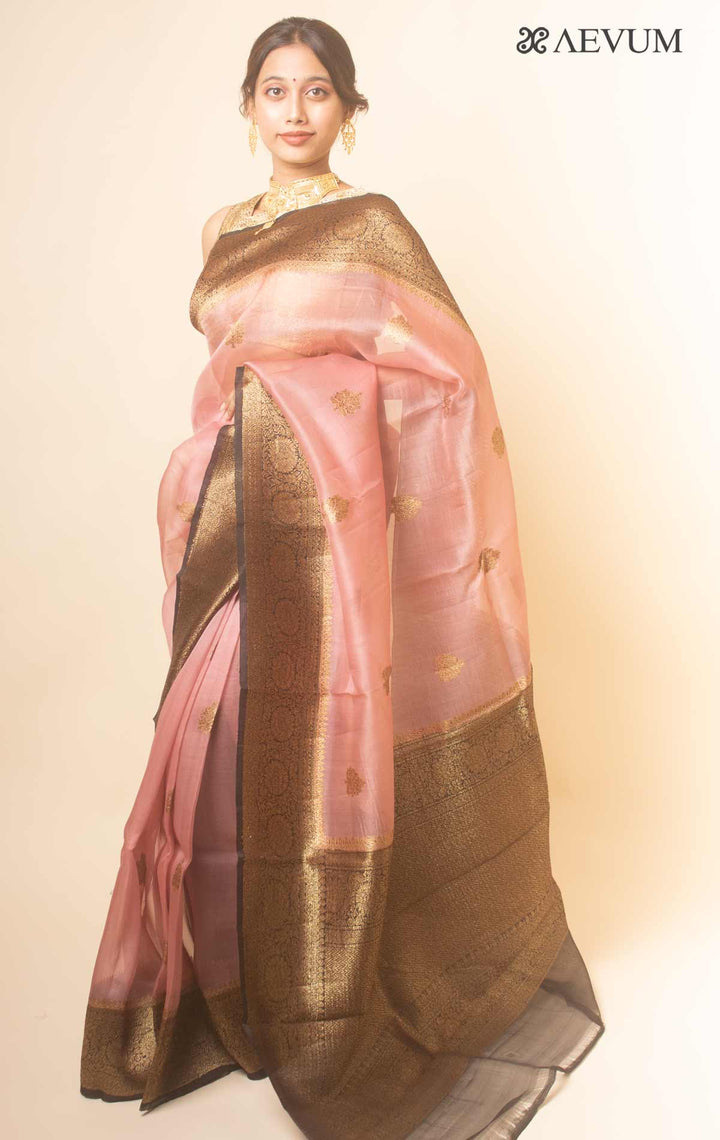 Pure Organza Banarasi Silk Handloom Saree with Silk Mark -17749 Saree AEVUM   