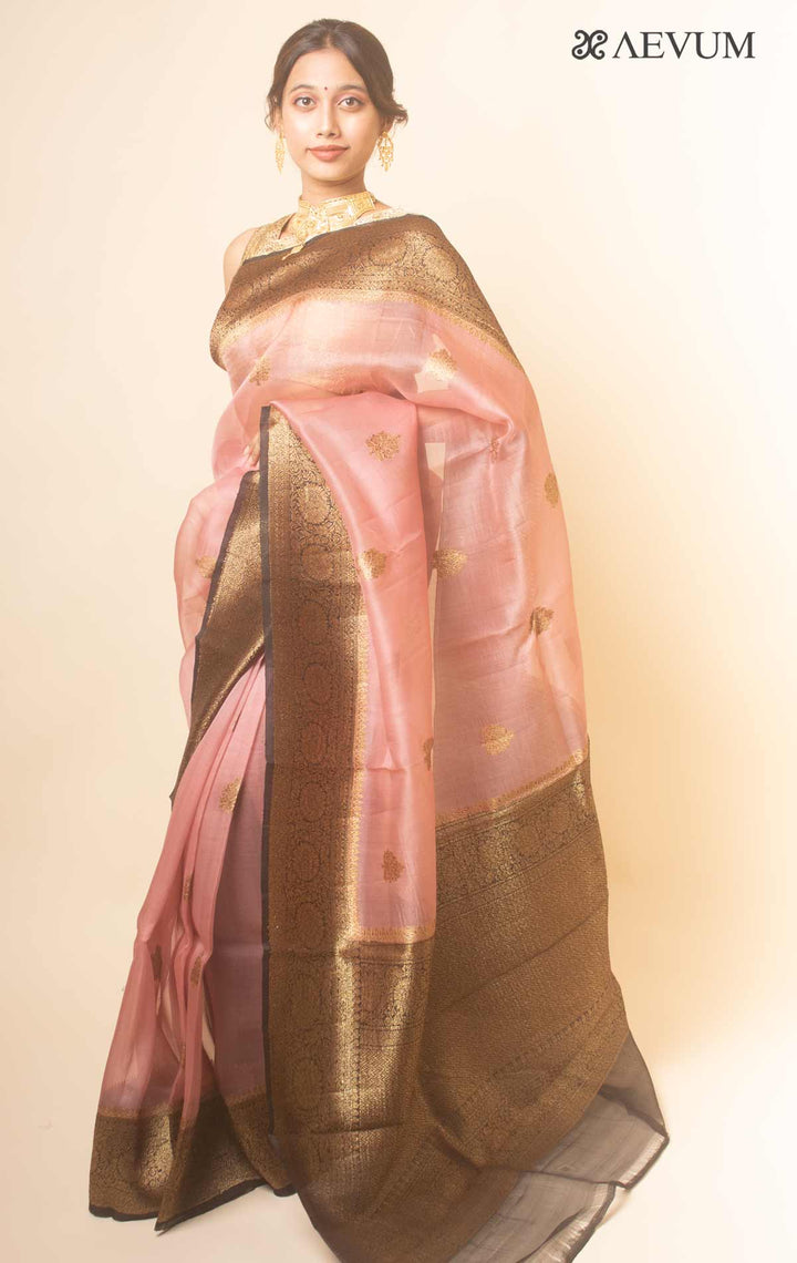 Pure Organza Banarasi Silk Handloom Saree with Silk Mark -17749 - AEVUM