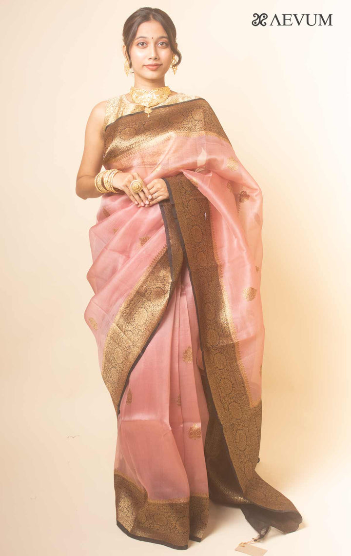 Pure Organza Banarasi Silk Handloom Saree with Silk Mark -17749 Saree AEVUM   