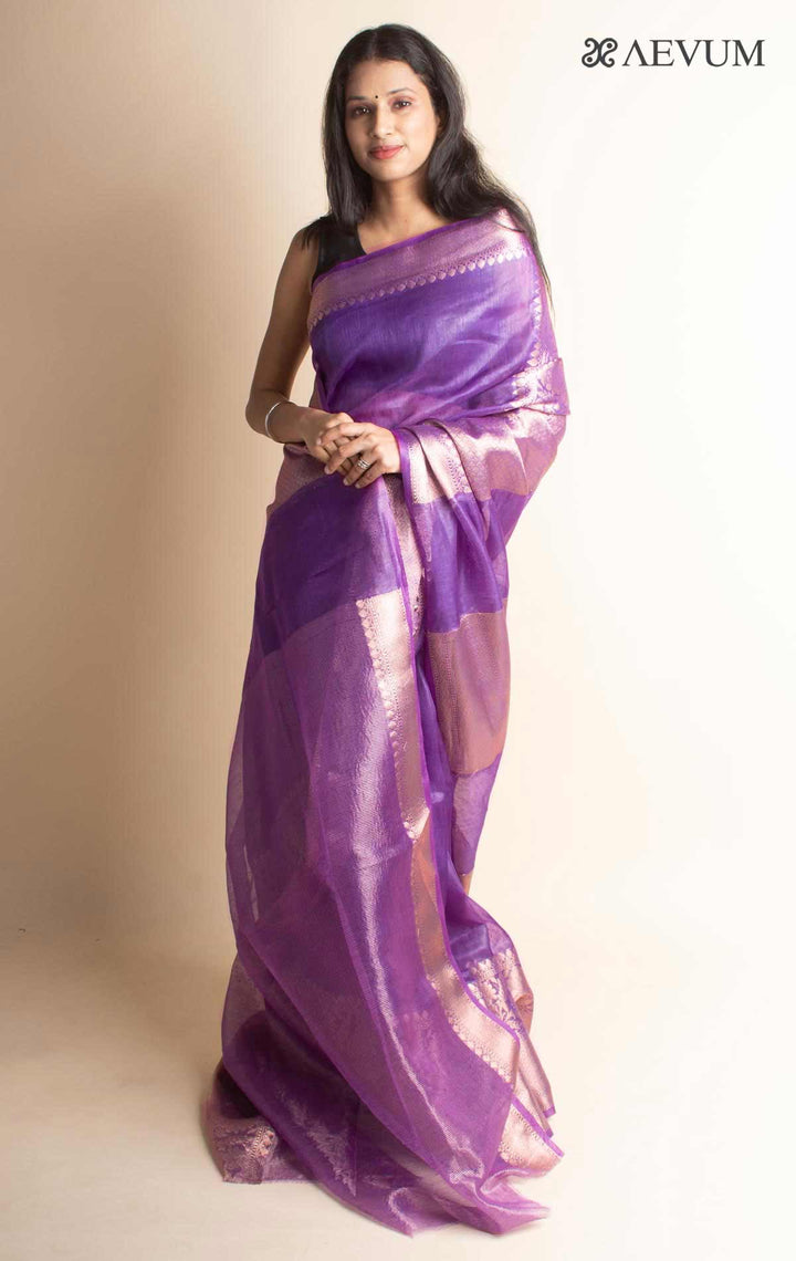 Silk Linen Banarasi Handloom Saree with Silk Mark - 17830 - AEVUM