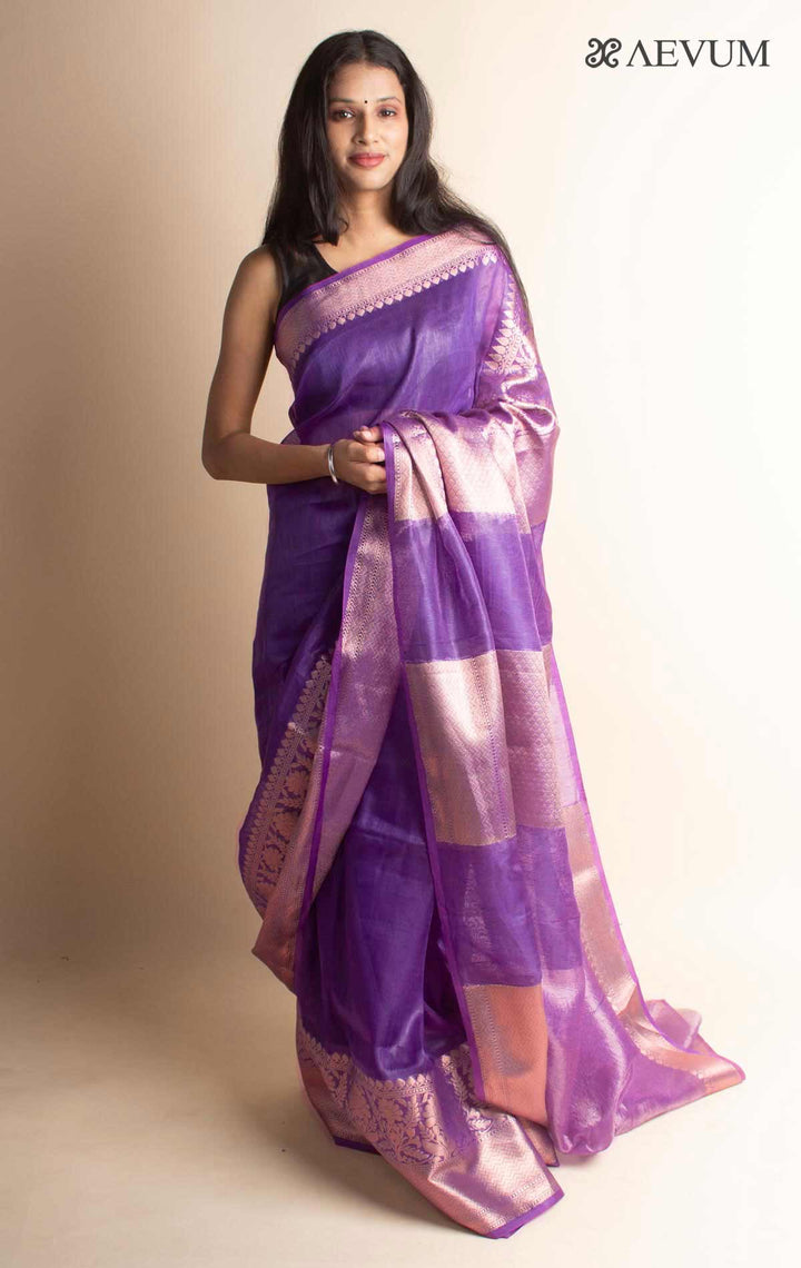 Silk Linen Banarasi Handloom Saree with Silk Mark - 17830 - AEVUM