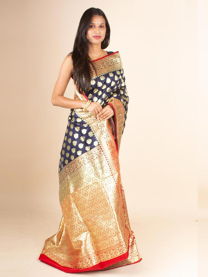 Banarasi Saree With Blouse Piece - 4531 Saree AEVUM 2   