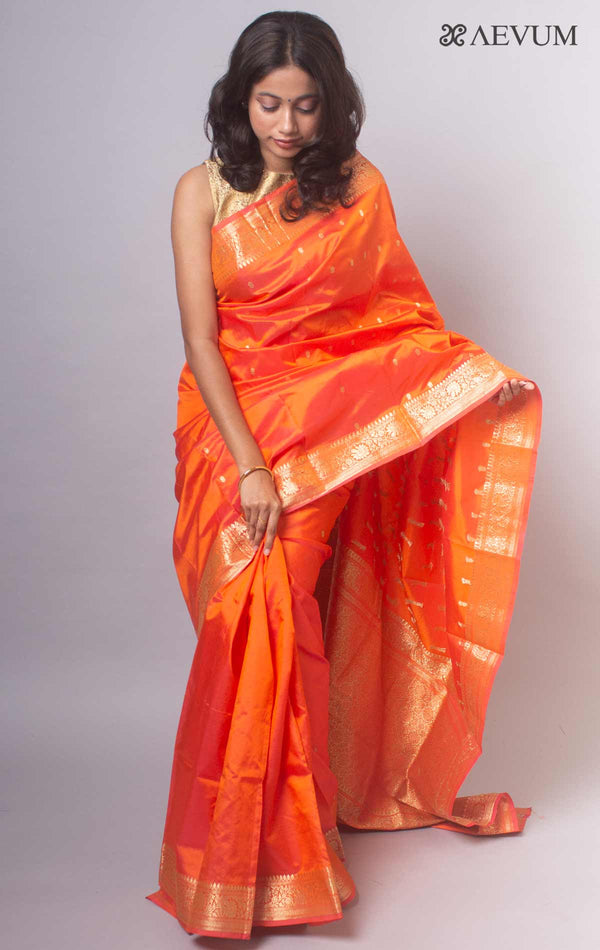 Banarasi Silk Saree with Silk Mark - 8489 - AEVUM