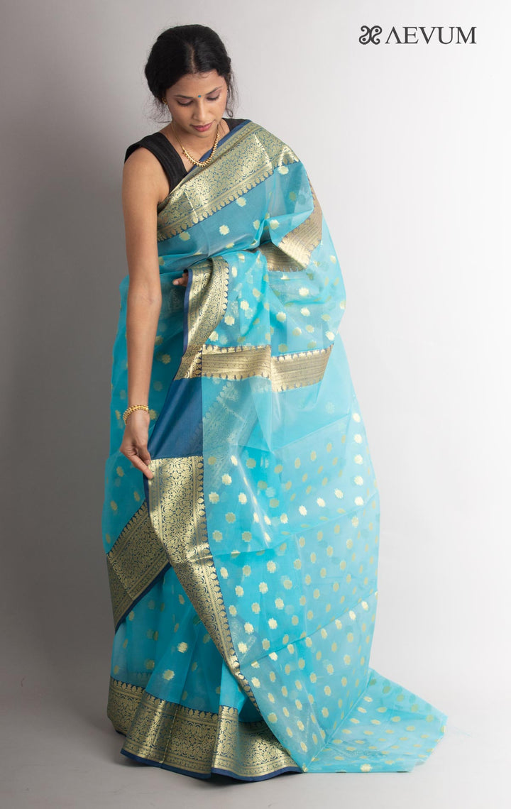 Organza Banarasi Handloom Saree - 0695 - AEVUM