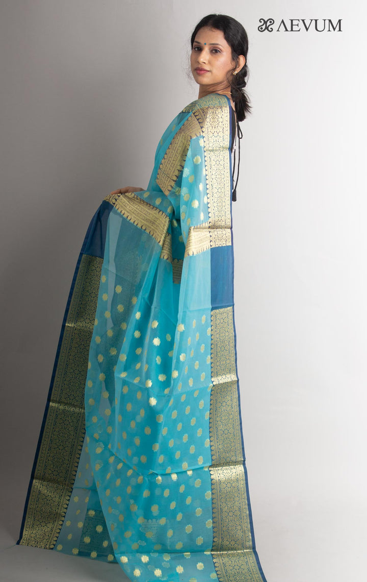 Organza Banarasi Handloom Saree - 0695 - AEVUM