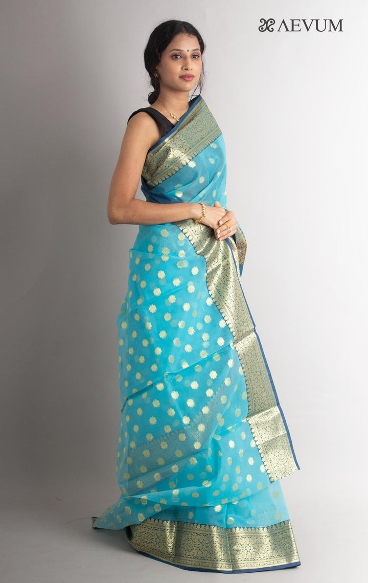 Organza Banarasi Handloom Saree - 0695 - AEVUM