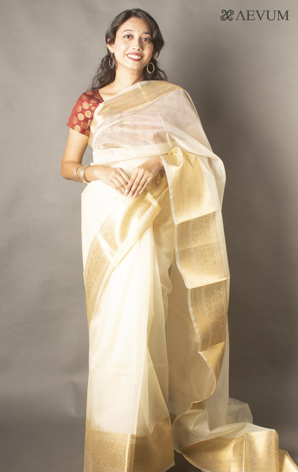 Semi Organza Banarasi Handloom Saree -11215 - AEVUM