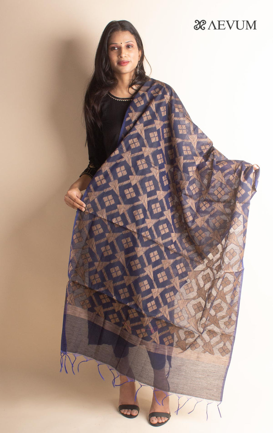 Chanderi Silk Dupatta - 2690 Dupatta AEVUM