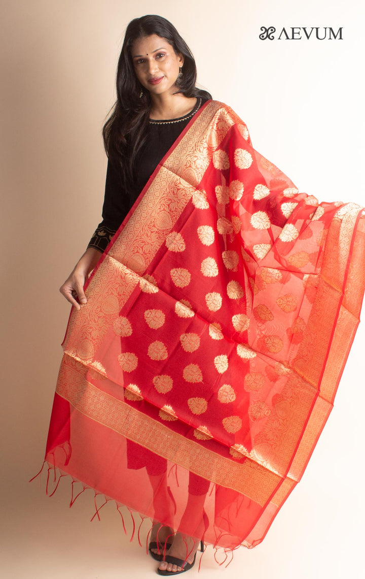 Banarasi Chanderi Silk Dupatta - 2694 Dupatta AEVUM 2   