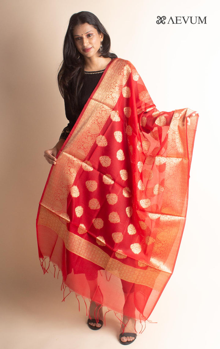 Banarasi Chanderi Silk Dupatta - 2694 Dupatta AEVUM 2   