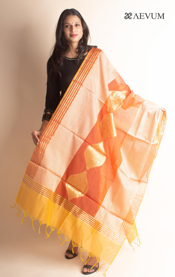 Banarasi Chanderi Silk Dupatta - 2697 Dupatta AEVUM 2   