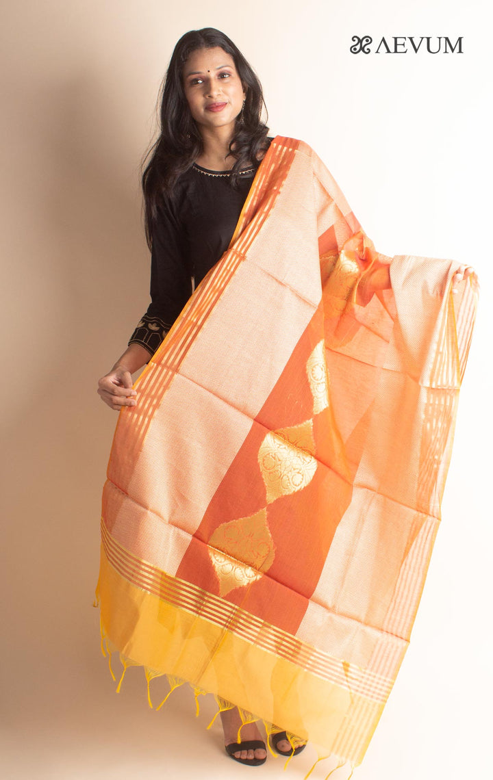 Banarasi Chanderi Silk Dupatta - 2697 Dupatta AEVUM 2   