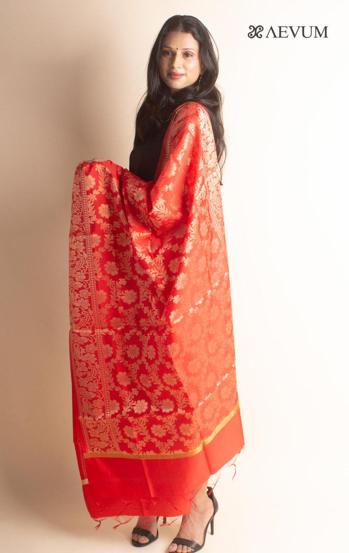 Banarasi Semi katan Silk Dupatta - 2733 Dupatta AEVUM 2   