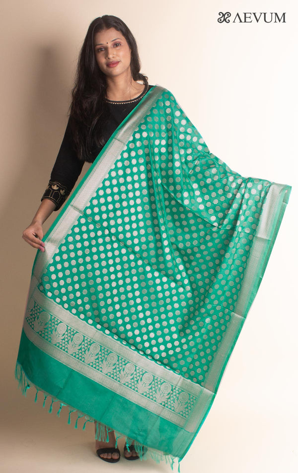 Banarasi katan Silk Dupatta - 2863 - AEVUM
