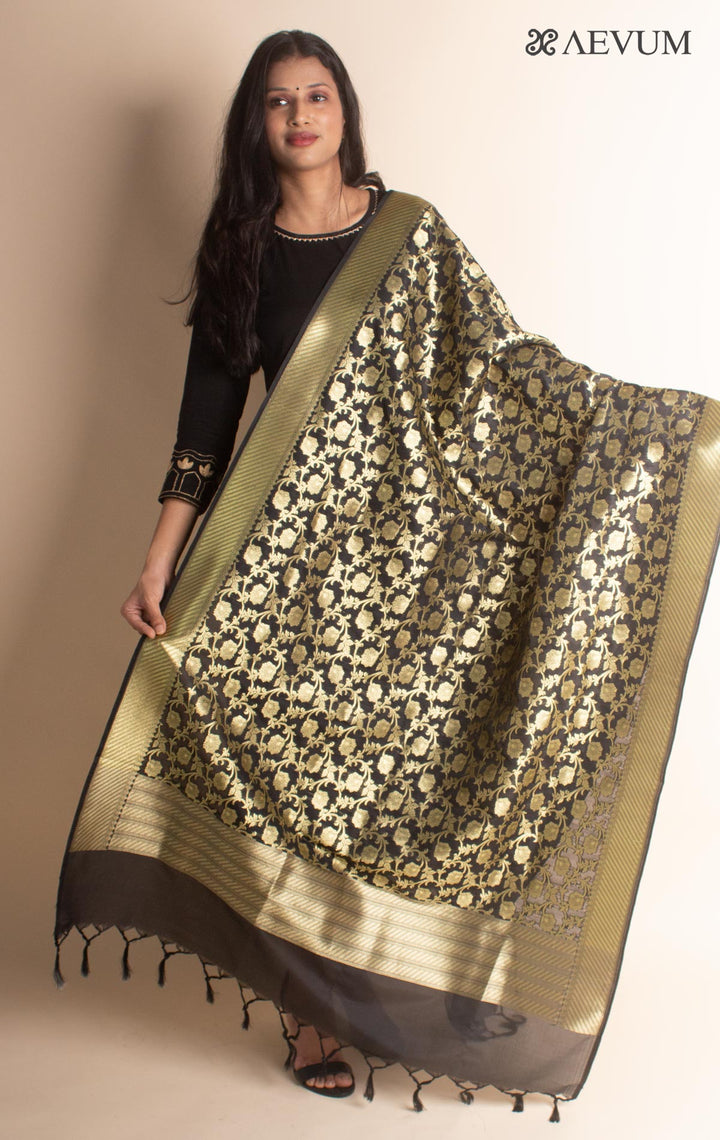 Banarasi Katan Silk Dupatta - 2865 Dupatta AEVUM 2   