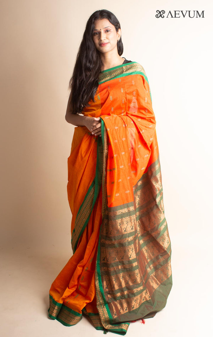 Kalyani South Cotton Silk Handloom Saree with Blouse Piece - 3537 - AEVUM