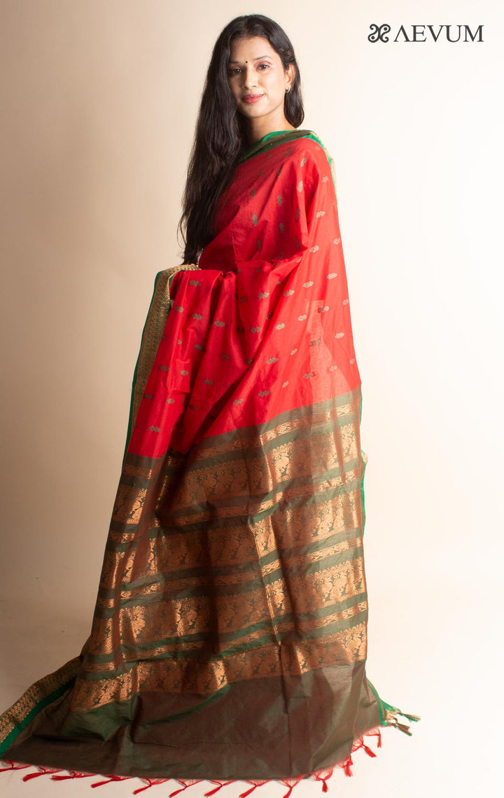 Kalyani South Cotton Silk Handloom Saree with Blouse Piece - 3539 - AEVUM