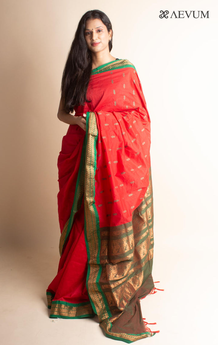 Kalyani South Cotton Silk Handloom Saree with Blouse Piece - 3539 - AEVUM
