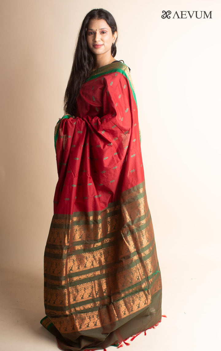 Kalyani South Cotton Silk Handloom Saree with Blouse Piece - 3543 - AEVUM