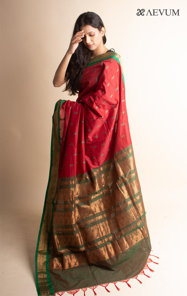 Kalyani South Cotton Silk Handloom Saree with Blouse Piece - 3543 - AEVUM