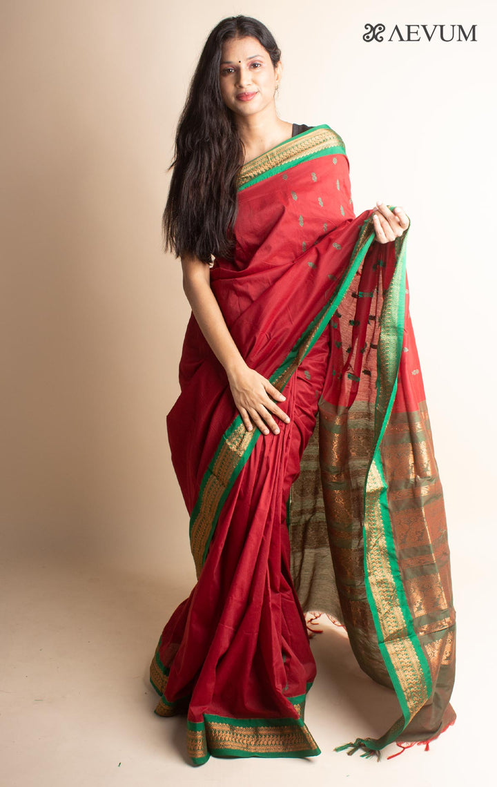 Kalyani South Cotton Silk Handloom Saree with Blouse Piece - 3543 - AEVUM