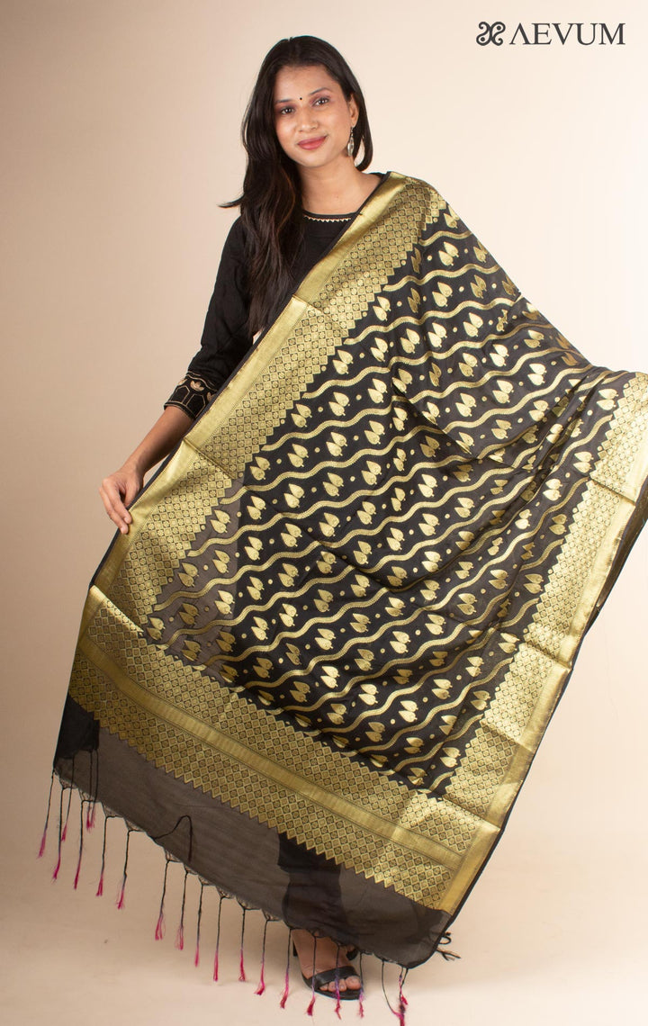 Banarasi katan Silk Dupatta - 4434 - AEVUM