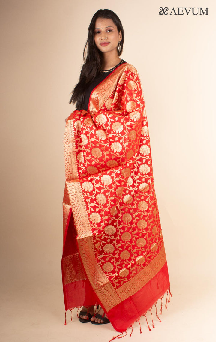 Banarasi katan Silk Dupatta - 4435 - AEVUM