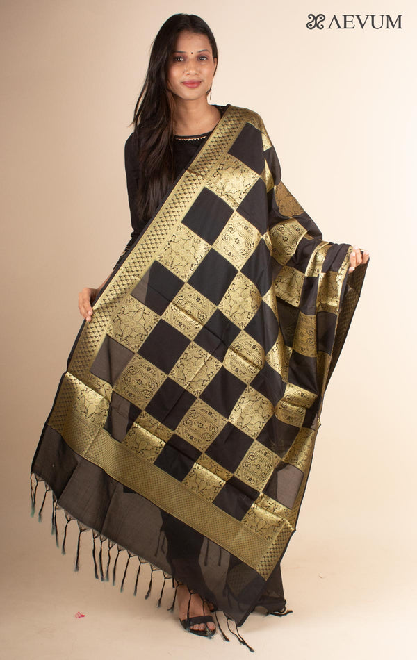 Banarasi katan Silk Dupatta - 4436 - AEVUM