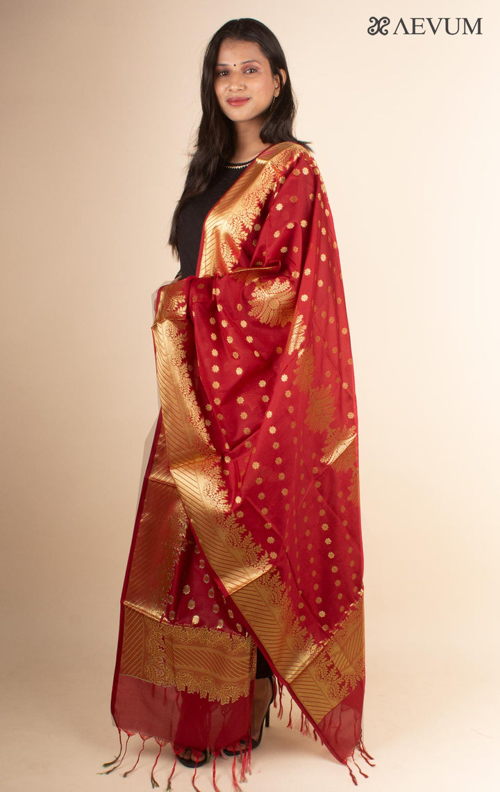 Banarasi katan Silk Dupatta - 4438 - AEVUM