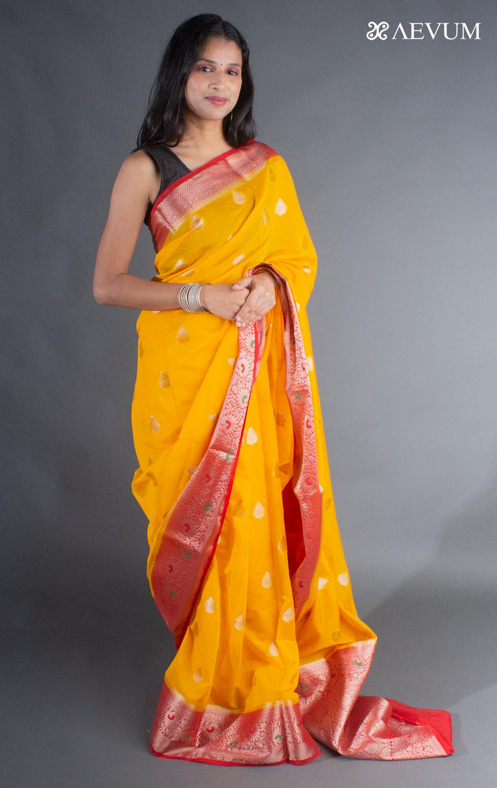 Semi Georgette Minakari Soft Banarasi Silk Saree - 8064 - AEVUM