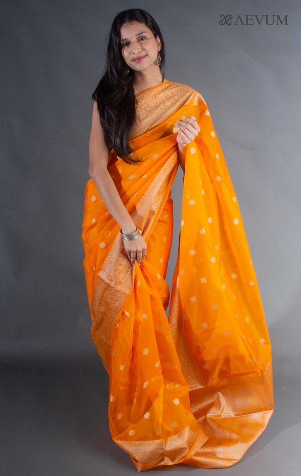 Organza Banarasi Handloom Saree - 8088 - AEVUM
